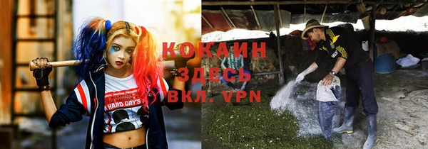 эйфоретик Алексеевка